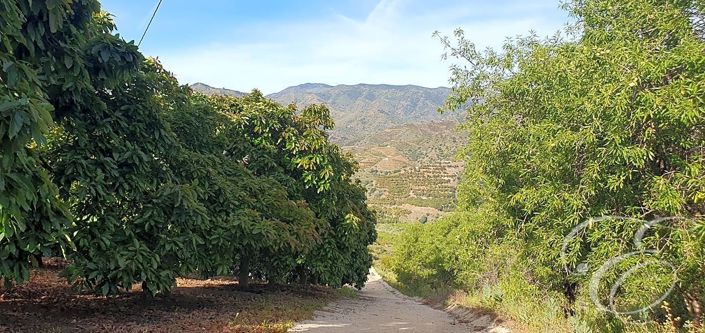 Image No.16-2 Bed Property for sale