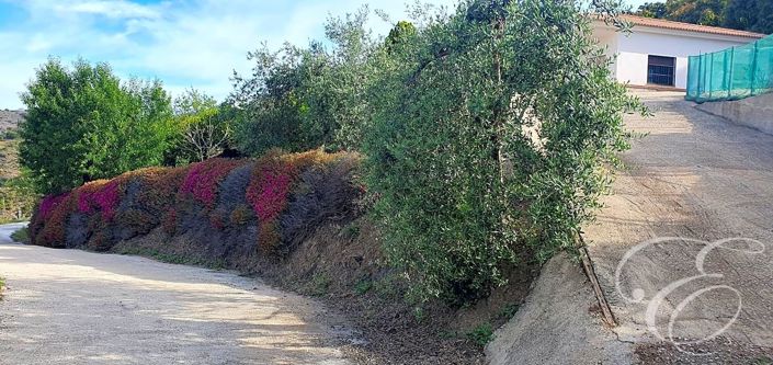 Image No.19-2 Bed Property for sale