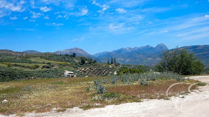Image No.30-Propriété de 4 chambres à vendre à Villanueva de la Concepción