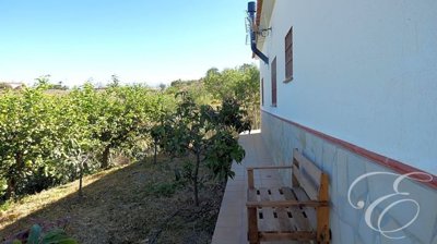 debccbc5-0003697319