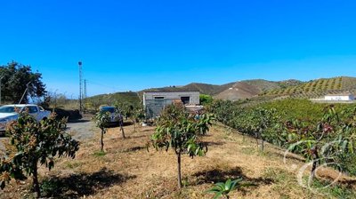 5e1972c1-0003697319