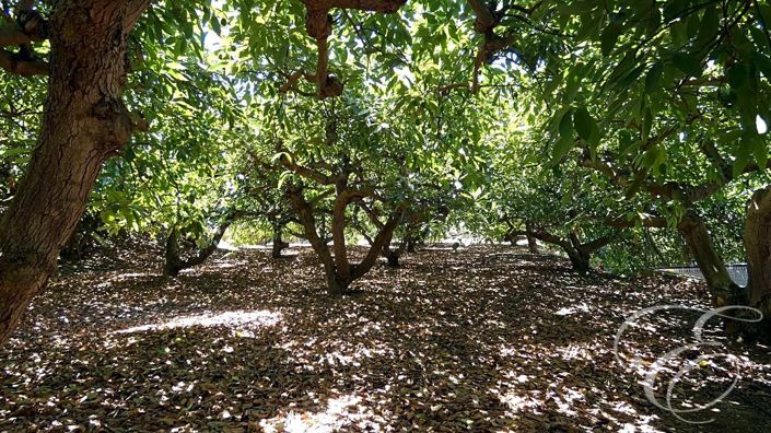 Image No.17-3 Bed Property for sale