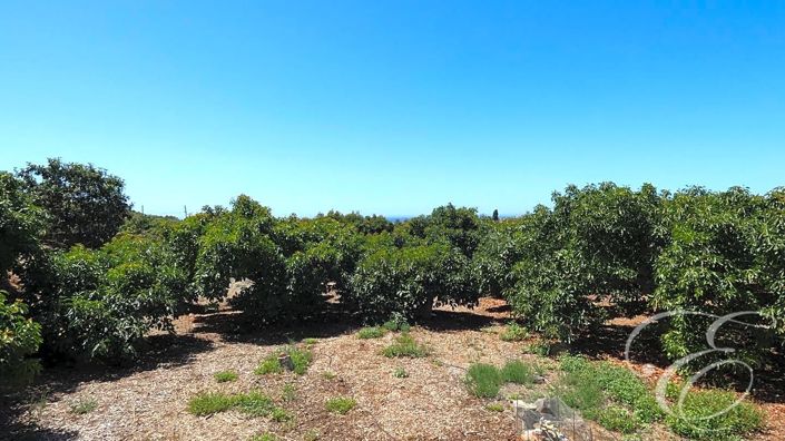 Image No.4-3 Bed Property for sale