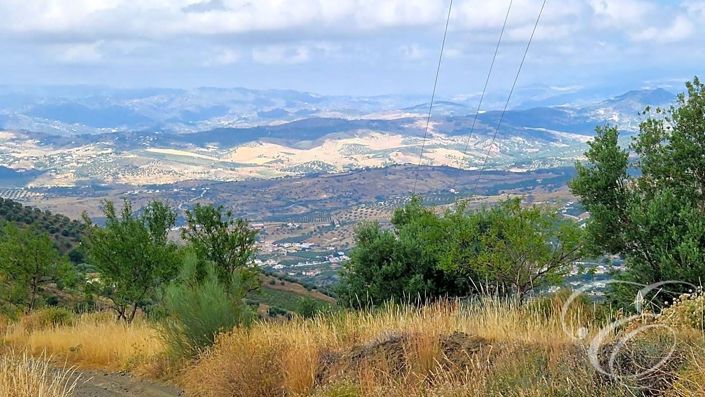 Image No.3-Propriété de 4 chambres à vendre à Alcaucín