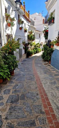 Image No.2-Propriété de 3 chambres à vendre à Canillas de Aceituno