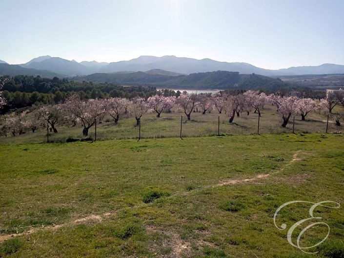 Image No.20-5 Bed Property for sale