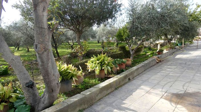 Image No.23-3 Bed Property for sale