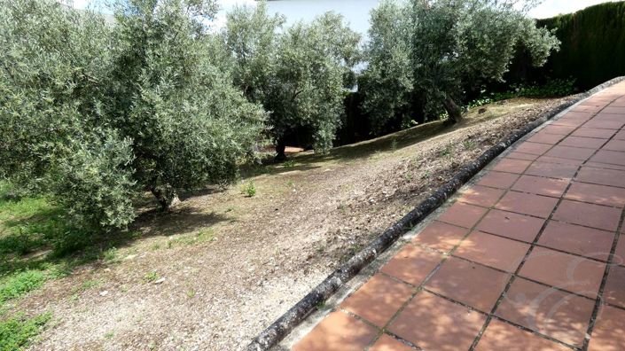 Image No.23-3 Bed Property for sale