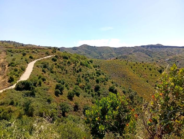 Image No.6-2 Bed Property for sale