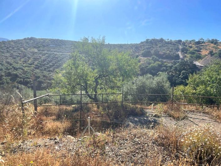 Image No.13-3 Bed Property for sale