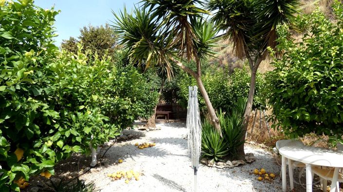 Image No.21-Propriété de 3 chambres à vendre à Benamargosa