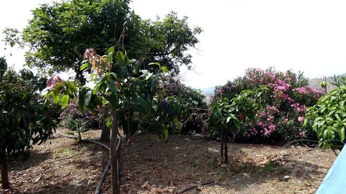 Image No.27-Propriété de 3 chambres à vendre à Benamargosa