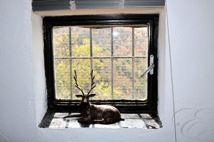 Image No.12-Propriété de 5 chambres à vendre à Arenas