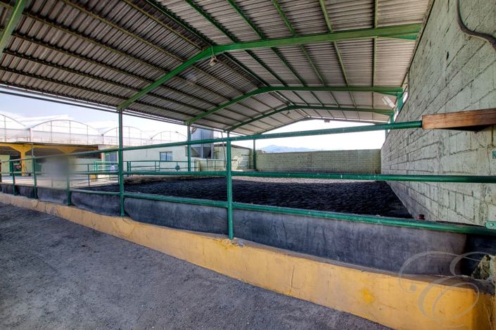 Image No.7-Propriété de 4 chambres à vendre à Torre del Mar