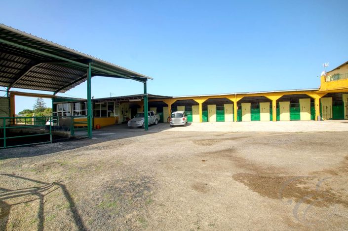 Image No.9-Propriété de 4 chambres à vendre à Torre del Mar