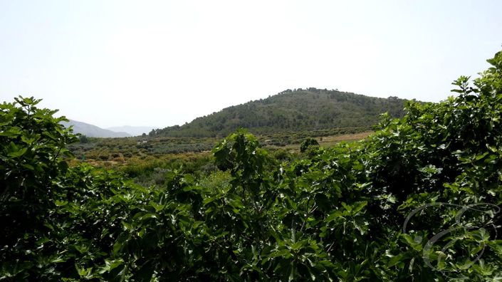 Image No.3-Propriété de 4 chambres à vendre à Molvízar