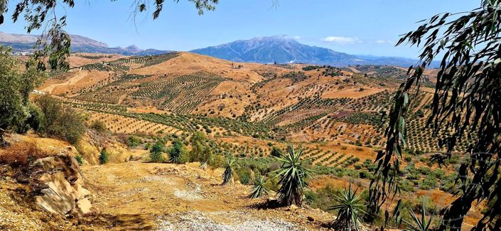 Image No.11-7 Bed Property for sale