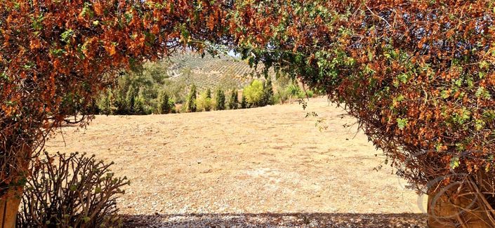 Image No.17-7 Bed Property for sale