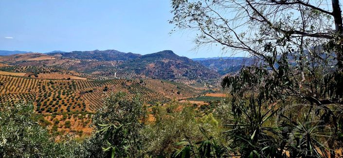 Image No.23-7 Bed Property for sale