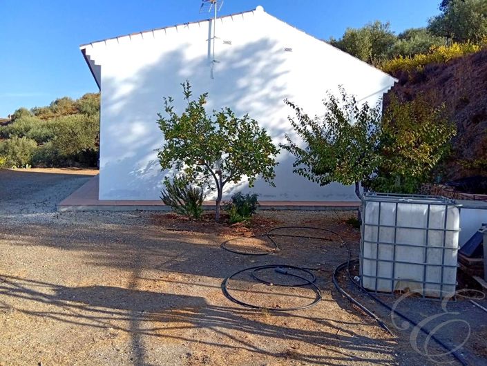 Image No.11-Propriété de 2 chambres à vendre à Arenas