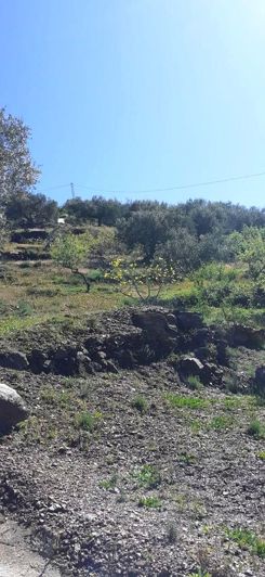 Image No.2-2 Bed Property for sale