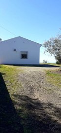 00d1f872-0004161381