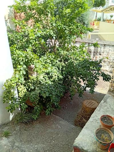 Image No.8-Propriété de 3 chambres à vendre à Benamargosa