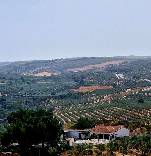 Image No.2-Propriété de 6 chambres à vendre à Moraleda de Zafayona