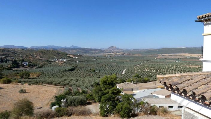 Image No.4-3 Bed Property for sale