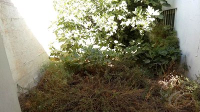 6bfc6e4c-0004194367
