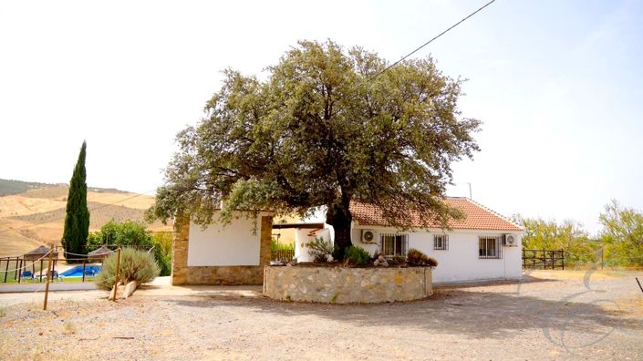 Image No.3-2 Bed Property for sale