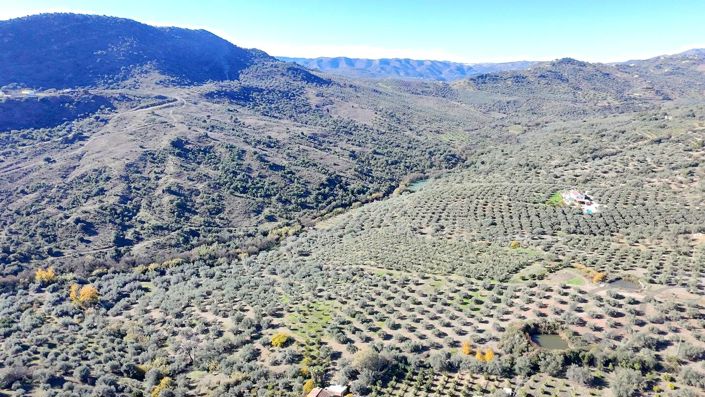 Image No.14-Land for sale