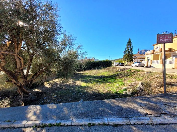 Image No.2-Land for sale