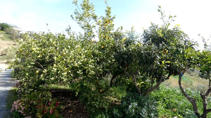 Image No.17-4 Bed Property for sale