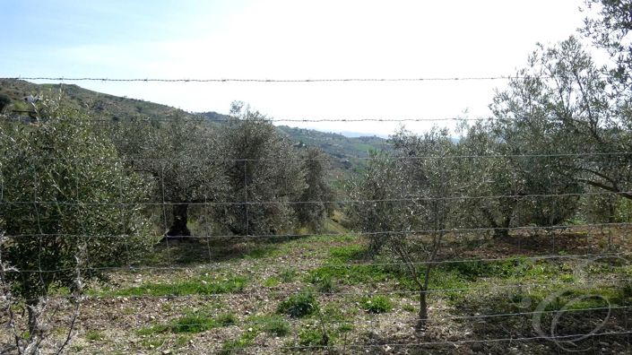 Image No.18-4 Bed Property for sale