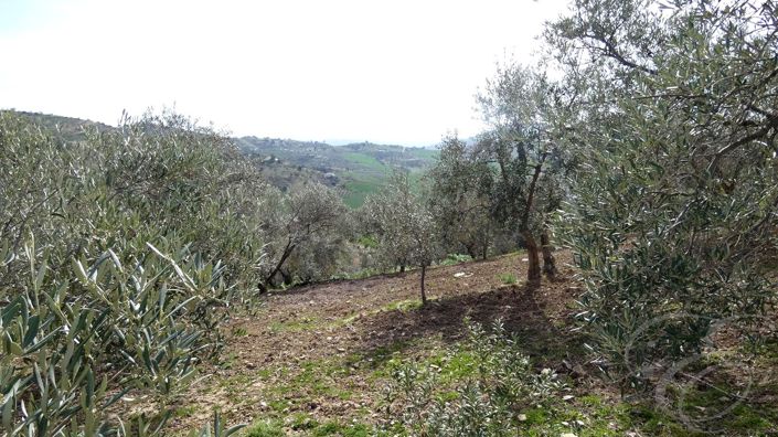 Image No.19-4 Bed Property for sale