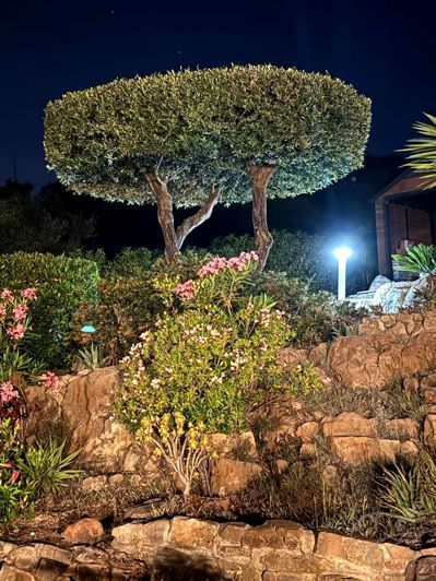 Image No.34-Propriété de 4 chambres à vendre à Alcaucín