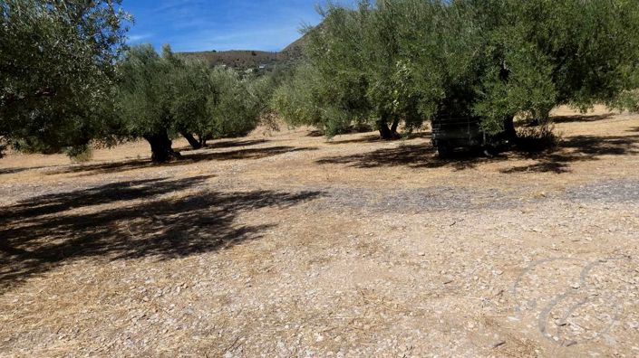 Image No.13-Propriété de 5 chambres à vendre à Alcaucín