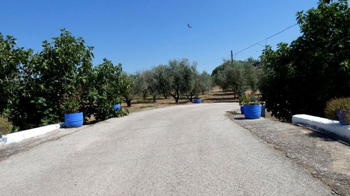 Image No.35-Propriété de 12 chambres à vendre à Montilla