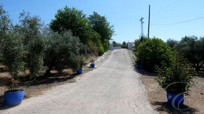Image No.36-Propriété de 12 chambres à vendre à Montilla