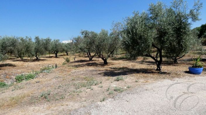 Image No.37-Propriété de 12 chambres à vendre à Montilla