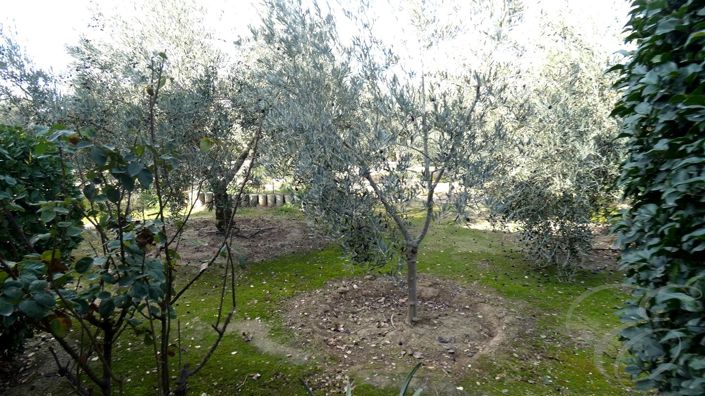 Image No.20-3 Bed Property for sale