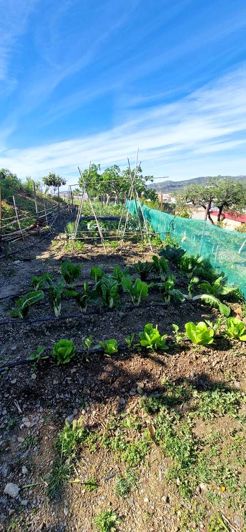 Image No.20-Propriété de 4 chambres à vendre à Vélez-Málaga