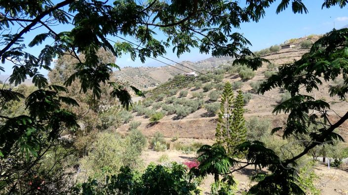 Image No.23-3 Bed Property for sale