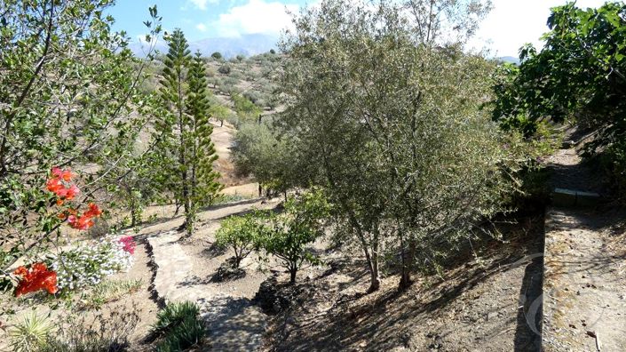 Image No.24-3 Bed Property for sale