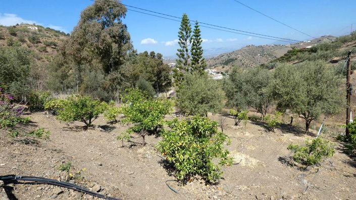 Image No.27-3 Bed Property for sale