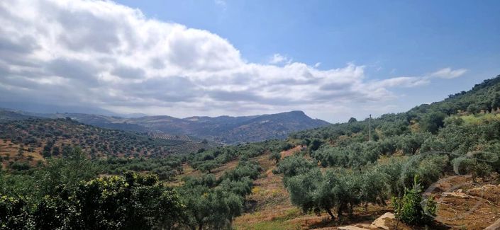 Image No.17-2 Bed Property for sale