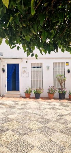 Image No.17-Propriété de 1 chambre à vendre à Vélez-Málaga