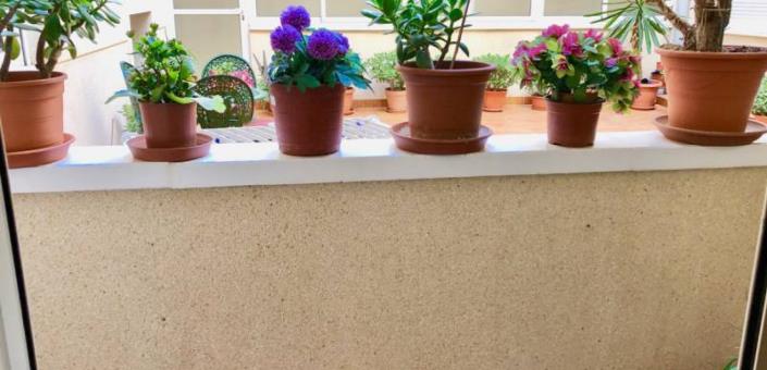 Image No.9-1 Bed Apartment for sale