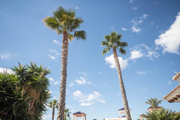 Image No.27-Villa de 2 chambres à vendre à La Marina